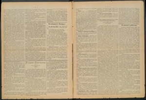 gazeta radomska-1885-1-00002